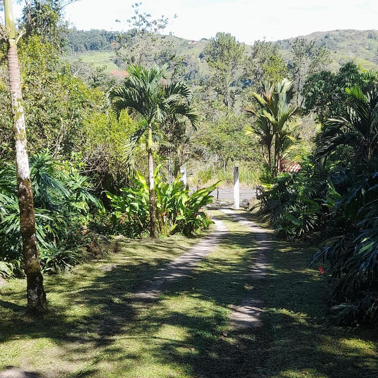 Corredores Del Pacuare La Suiza Extérieur photo
