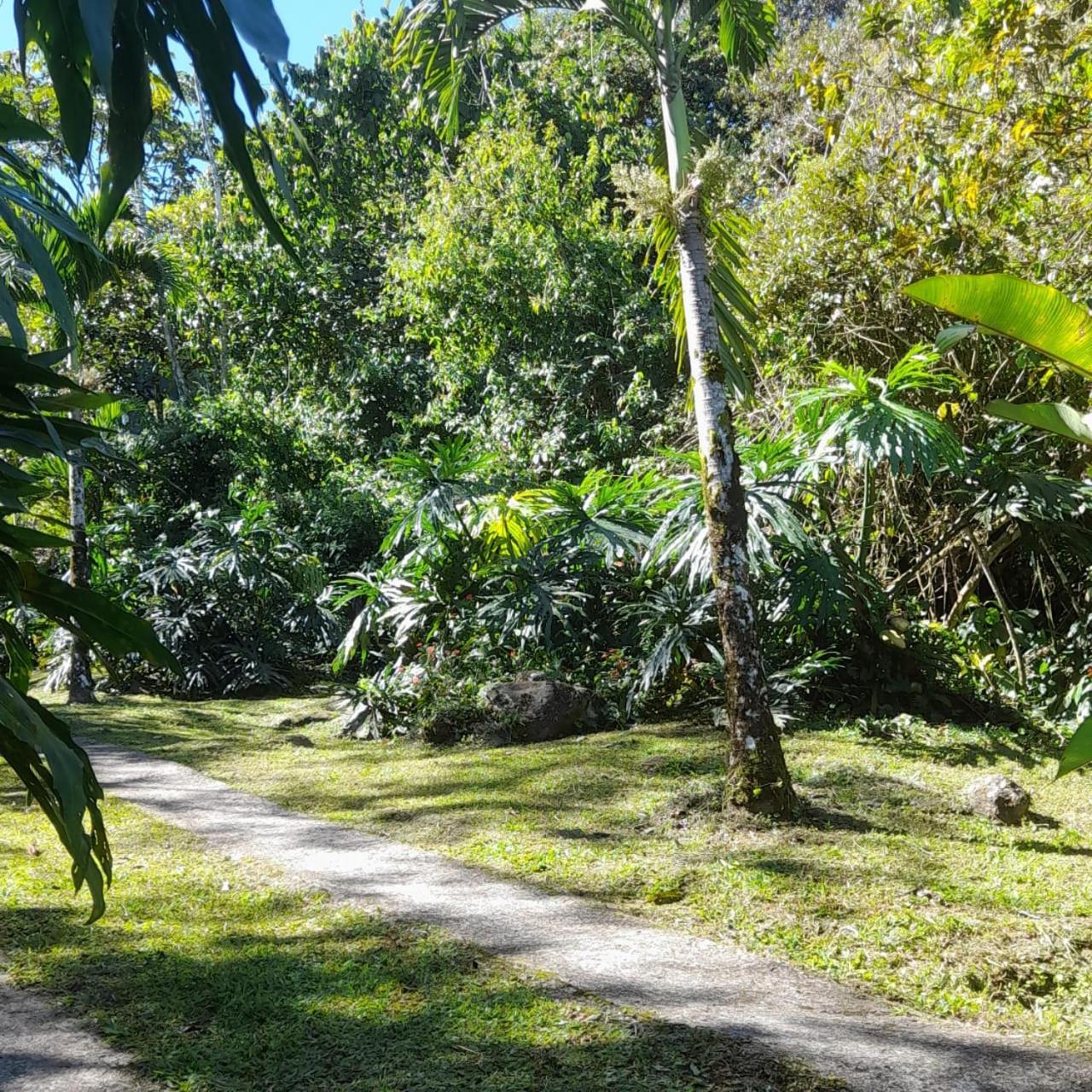 Corredores Del Pacuare La Suiza Extérieur photo